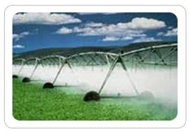 Agriculture Chlorination